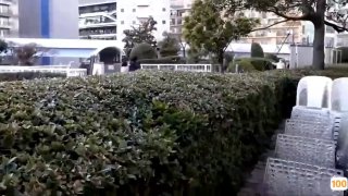 日韩无码v在线电影,国产精品免费大片一区二区高清